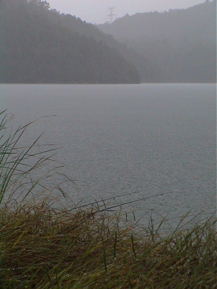 Ein schwüler Tag am See