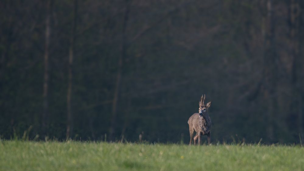 Ein "Sechser"  im Lotto