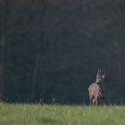 Ein "Sechser"  im Lotto