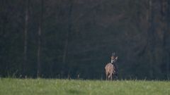 Ein "Sechser"  im Lotto