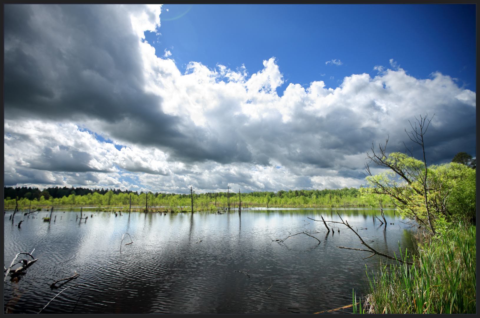 ein See