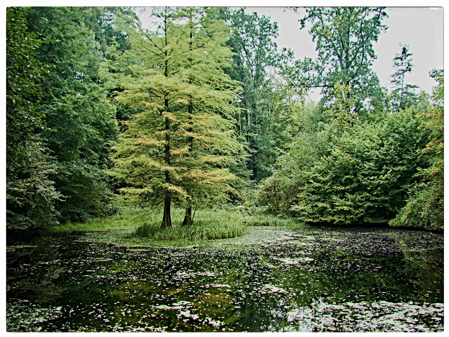 Ein See im Stadtwald