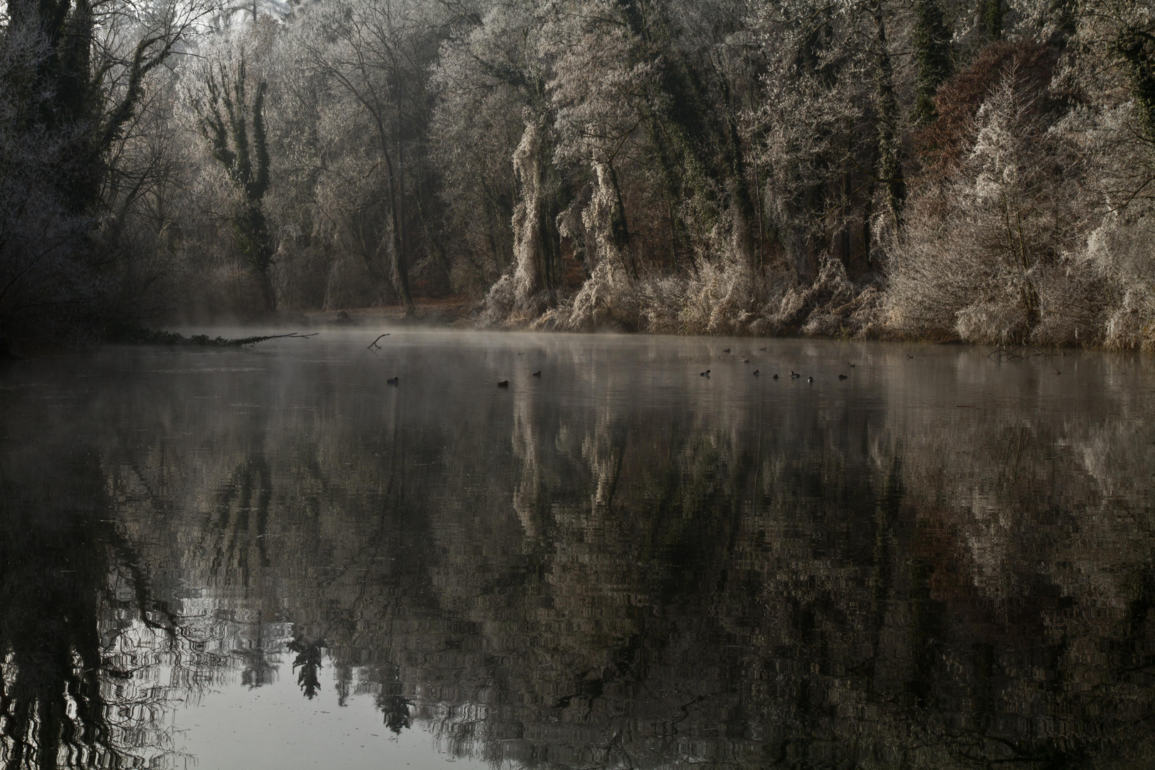 ein See im Winter