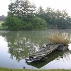 ein See in Braunsfeld