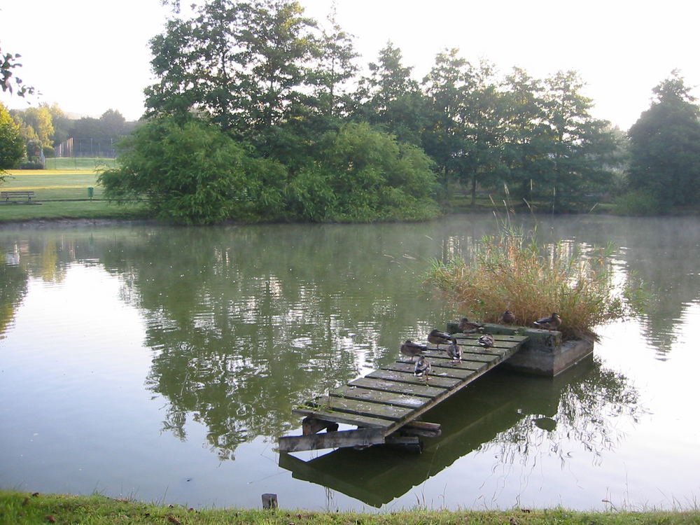 ein See in Braunsfeld