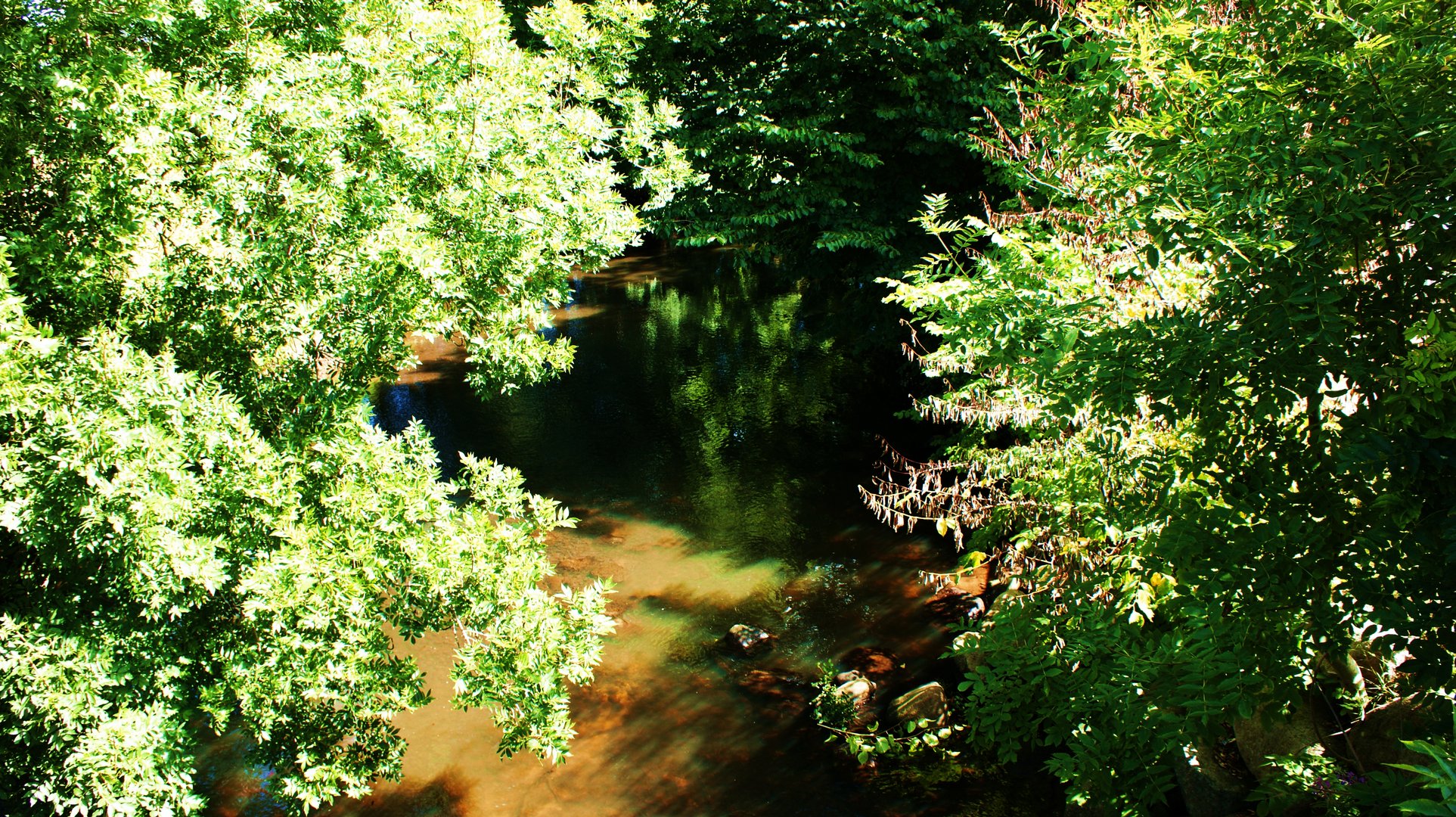 Ein See in Dänemark