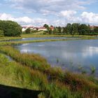 ein See in Mauswinkel im Vogelsberg