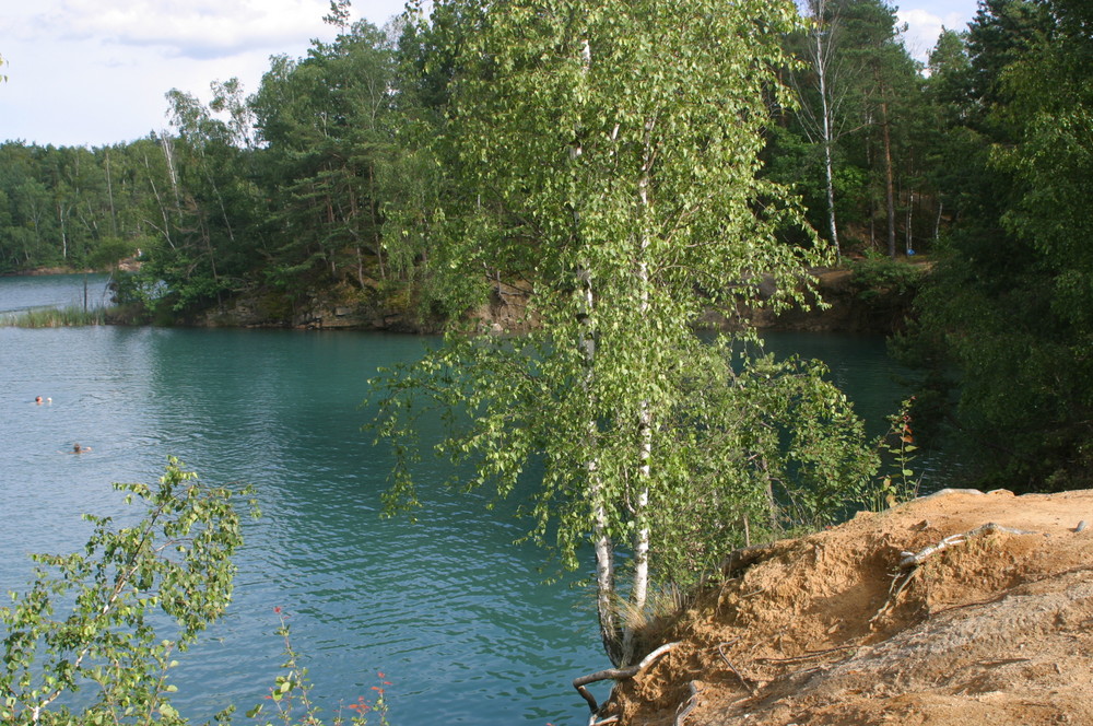 Ein See in Sachsen Anhalt