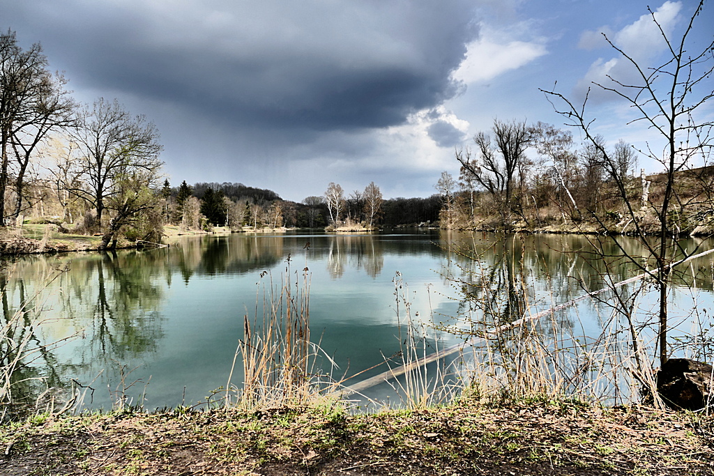 Ein See mit Insel-Biotop