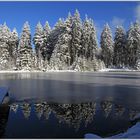 ...ein See zum Eisbaden...das Eisloch zeugt davon...