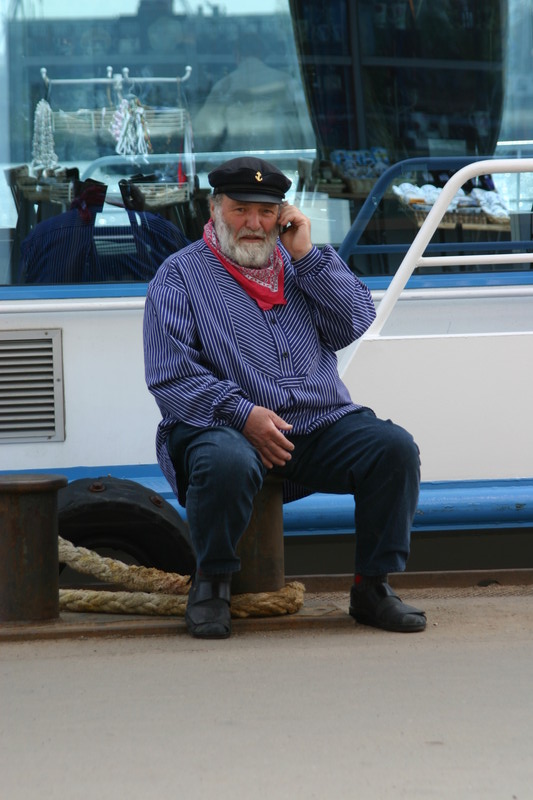 Ein Seebär am Hamburger Hafen