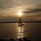 Ein Segler abends auf der Kieler Förde