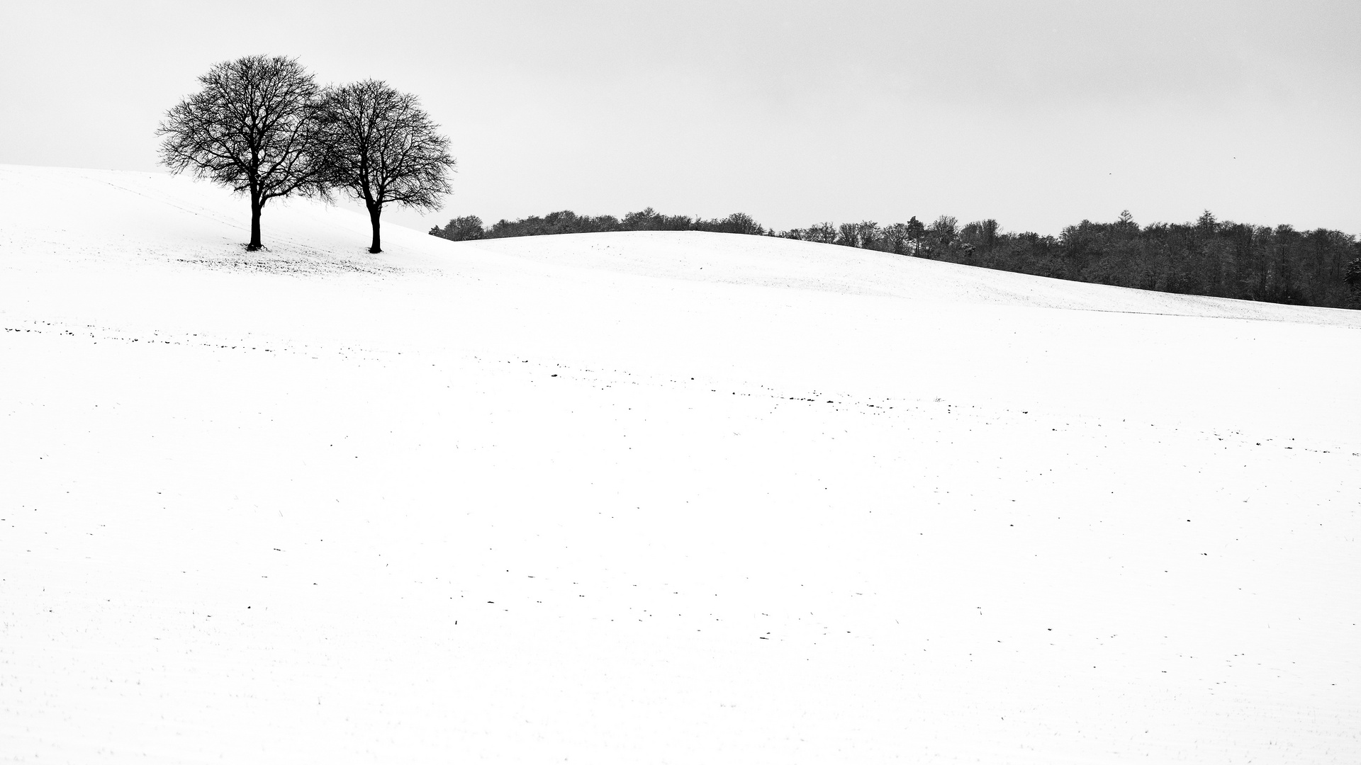 Ein  sehenswerter Landstrich