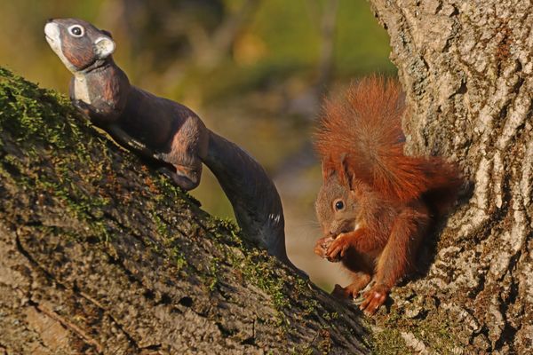Ein sehr beliebter Platz...
