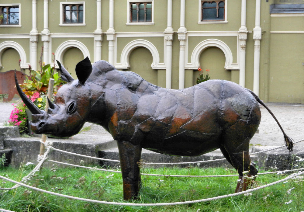 Ein sehr friedliches Nashorn