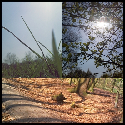 Ein Sehr schönes Wetter.