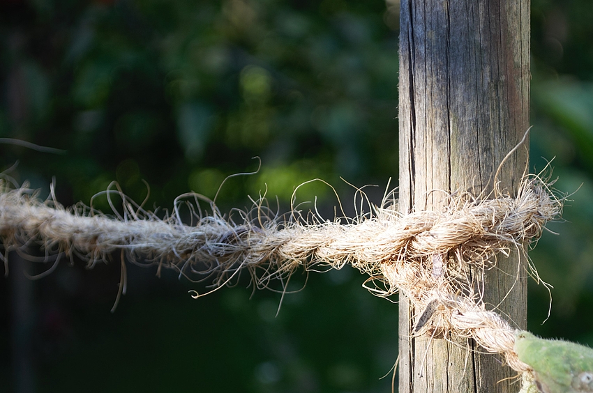 Ein Seil aus Kokosfasern ist ein guter Halt für Kletterpflanzen