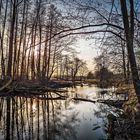 Ein Seitenarm der Spree bei Neu-Zittau