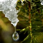 Ein Sekundenbruchteil im Wasserkreislauf