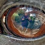 Ein Selfie im Pferdeauge! - Un selfie dans l'oeil d'un cheval! 