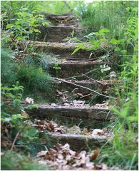 Ein selten gegangener Weg im Hunsrücker Wald.