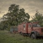 ein seltsames Gespann - altes Feuerwehrauto und Ladewagen auf grüner Wiese (3)