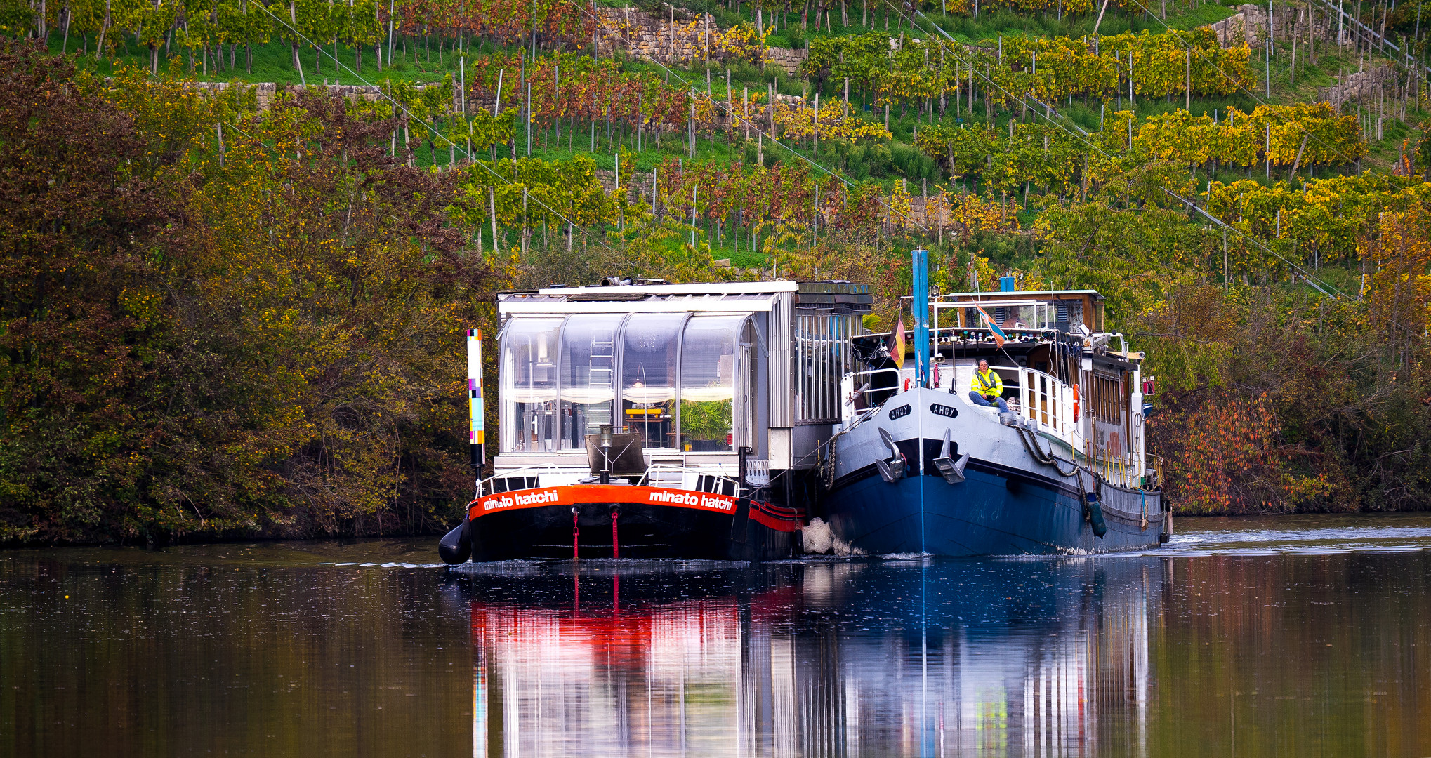 Ein seltsames Gespann gestern bei uns auf dem Neckar