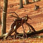 Ein seltsames Waldwesen