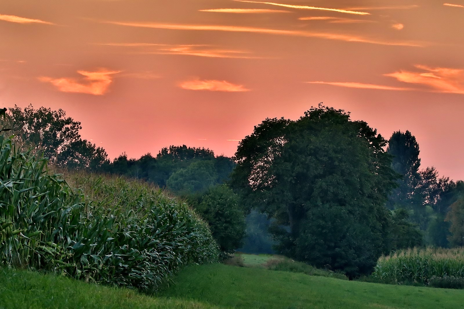 Ein SEPTEMBER - ABEND