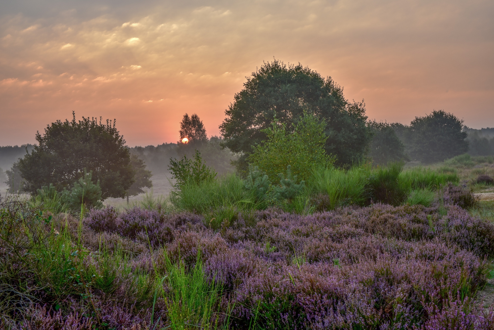 Ein Septembermorgen...