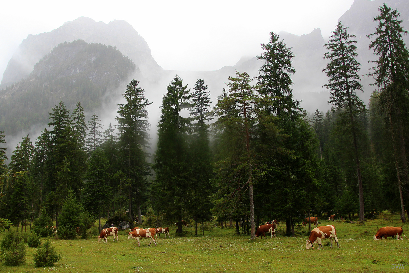 Ein Septembernachmittag im Klausbachtal