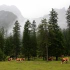 Ein Septembernachmittag im Klausbachtal