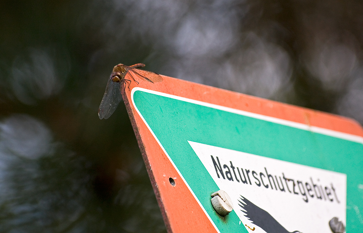 Ein sicheres Plätzchen