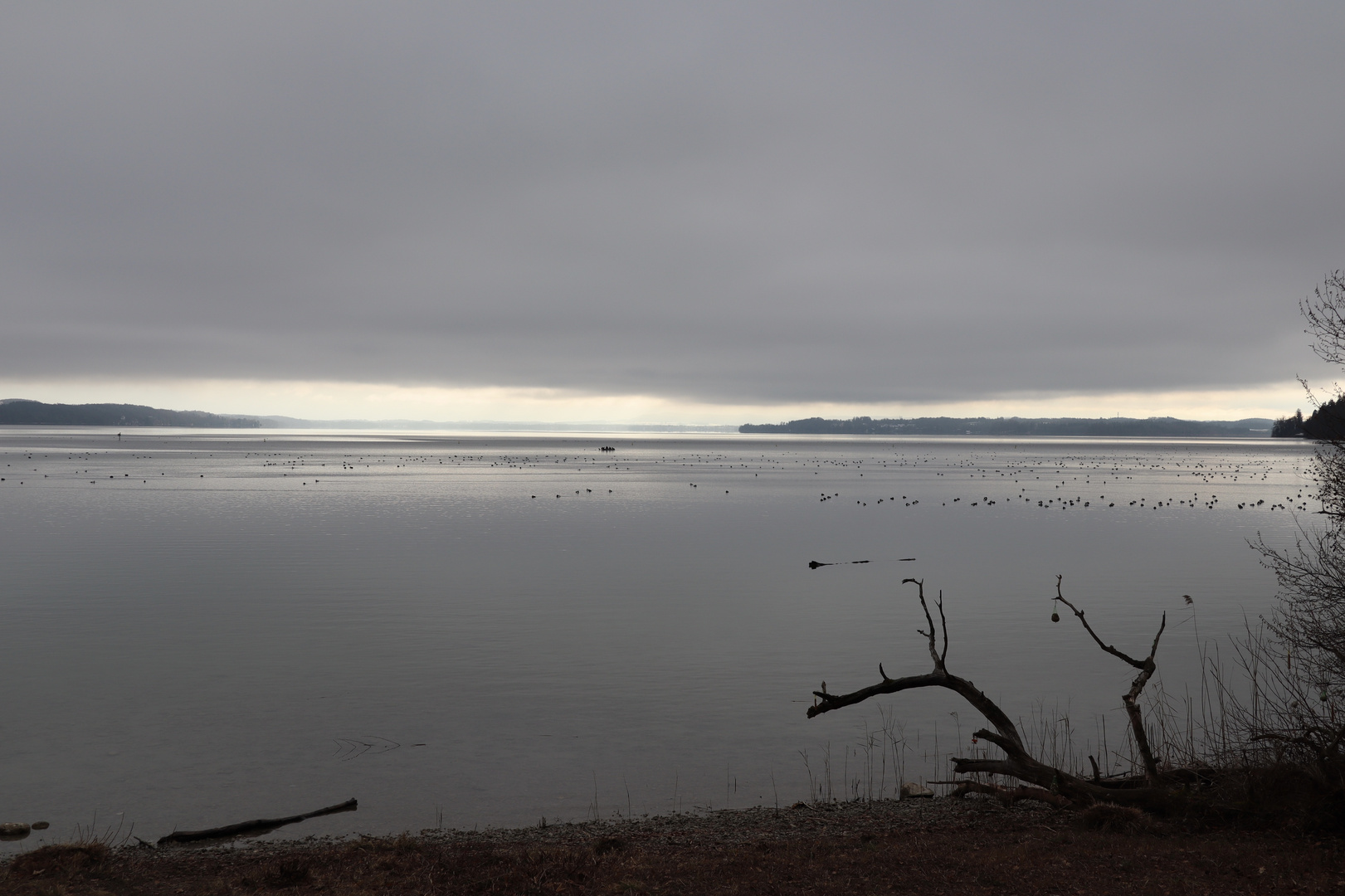 Ein Silberstreif am Horizont ....