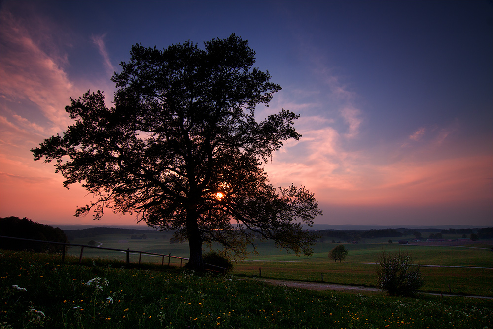 Ein simpler Baum