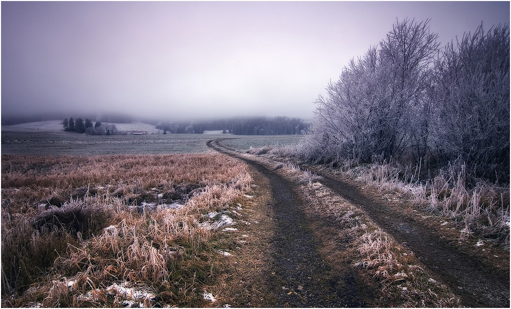 Ein simpler Feldweg