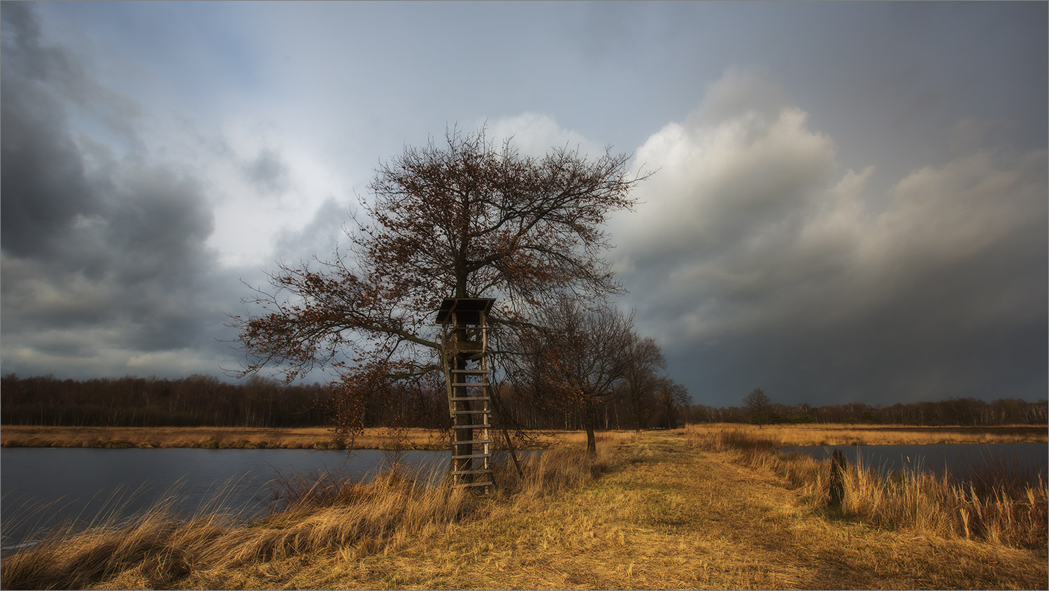 Ein Sitz im Moor ...