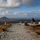 Ein sitzender Mayr in Irland auf dem Berg