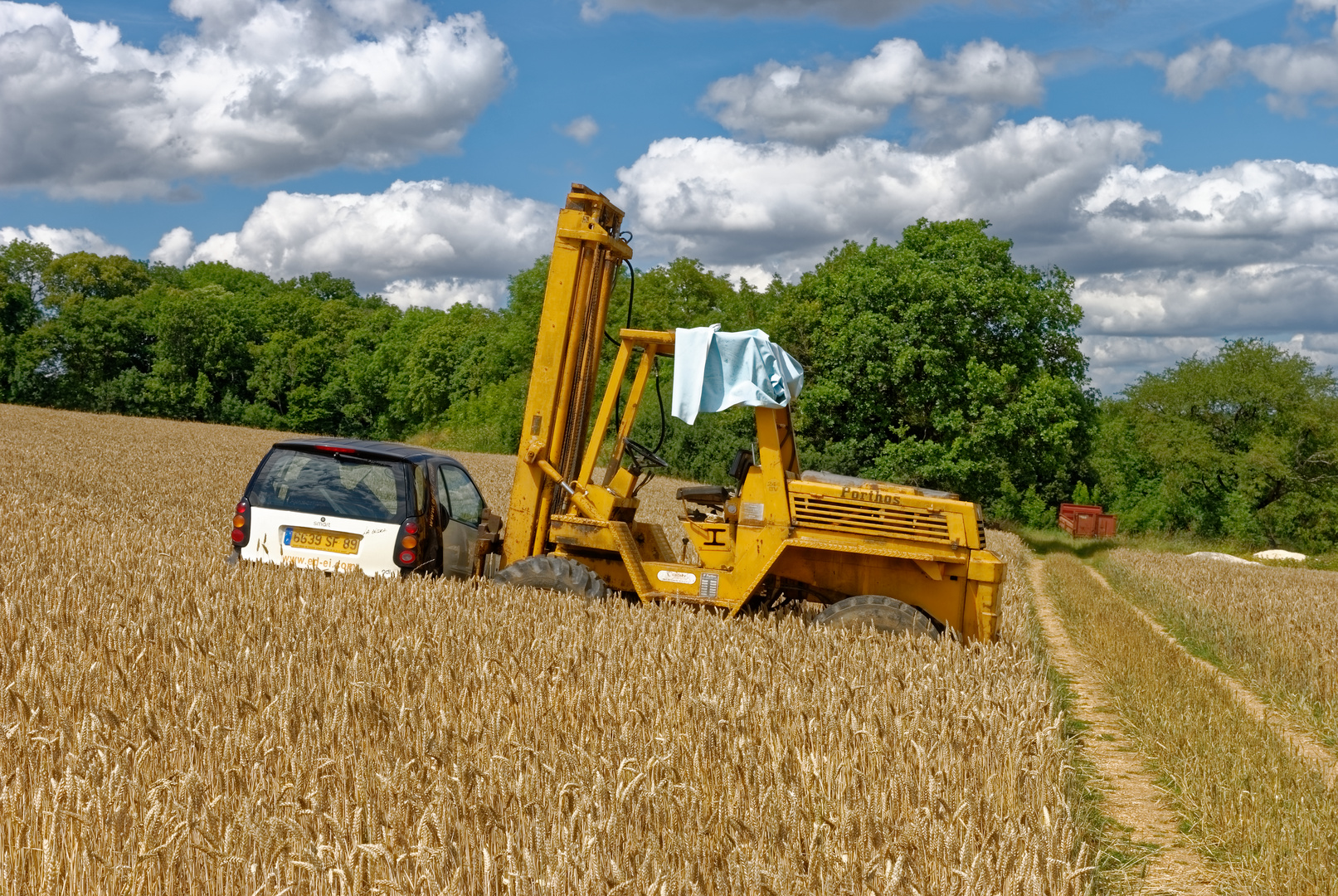 ein Smart im Kornfeld