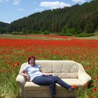 Ein Sofa im Mohnfeld....