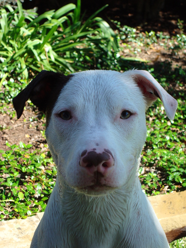 Ein Sohn von unserem Texas