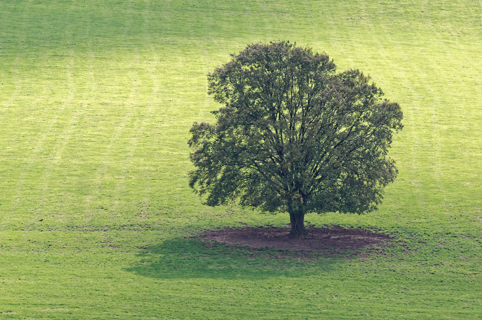 Ein Solitär