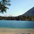 Ein Sommer am Hintersee