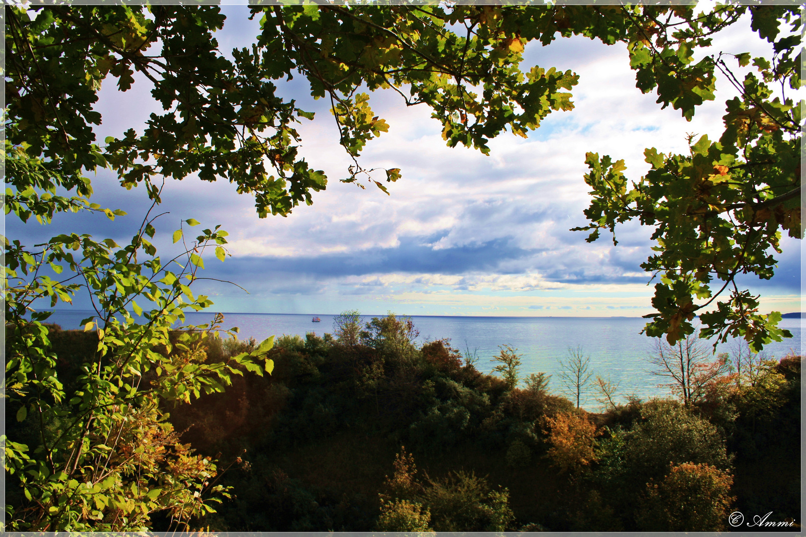 Ein Sommer am Meer! &#777;•••Rügen•••