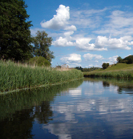 Ein Sommer an der Warnow