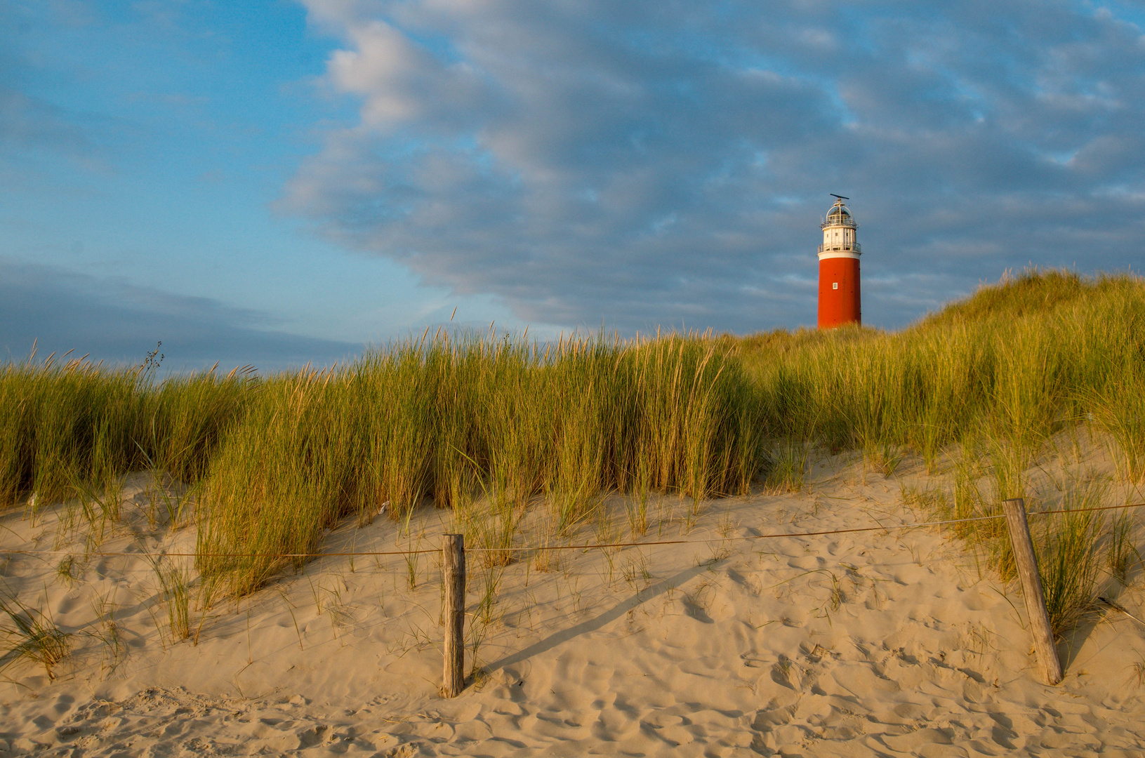 Ein Sommer auf Texel