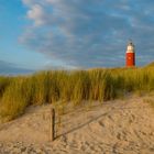 Ein Sommer auf Texel