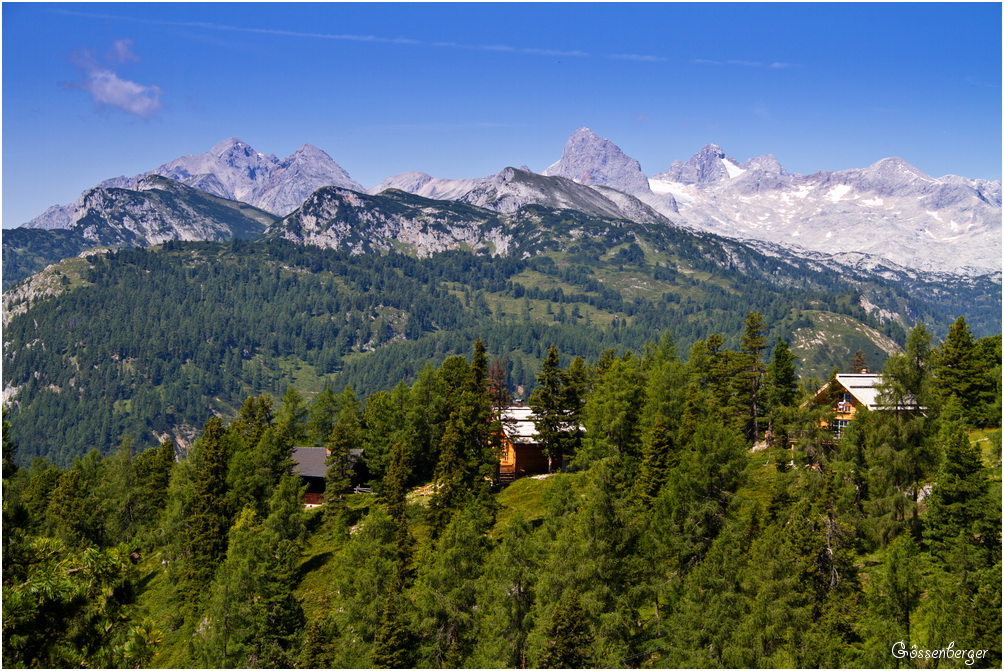 Ein Sommer in den Bergen 13