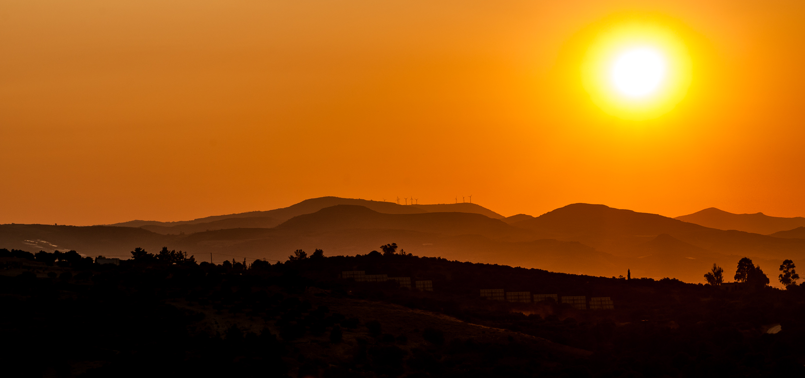 Ein Sommer in Orange