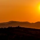 Ein Sommer in Orange